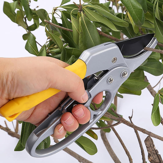 Pruning Shears, Gardening Shears, Enhanced Garden Shears ...
