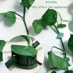 Plant Climbing Wall Fixture Clip Self-Adhesive Hook Vines...