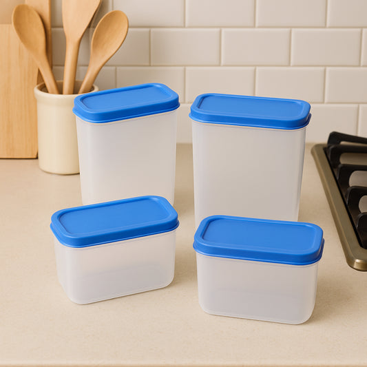 Apex Glory Plastic Storage Container Box Set (4...