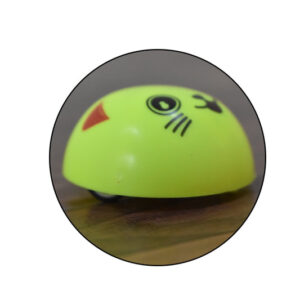 Pull Back Smiley Toy