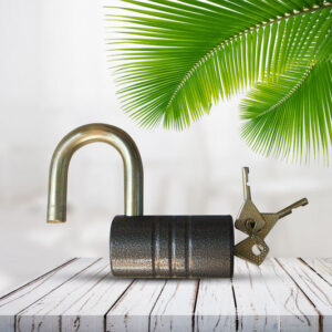 Heavy-Duty Iron Padlock – 82mm Black Spray Lock...